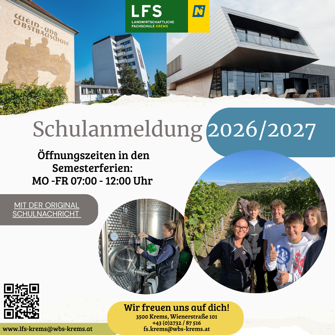 Schulanmeldung 2026/27