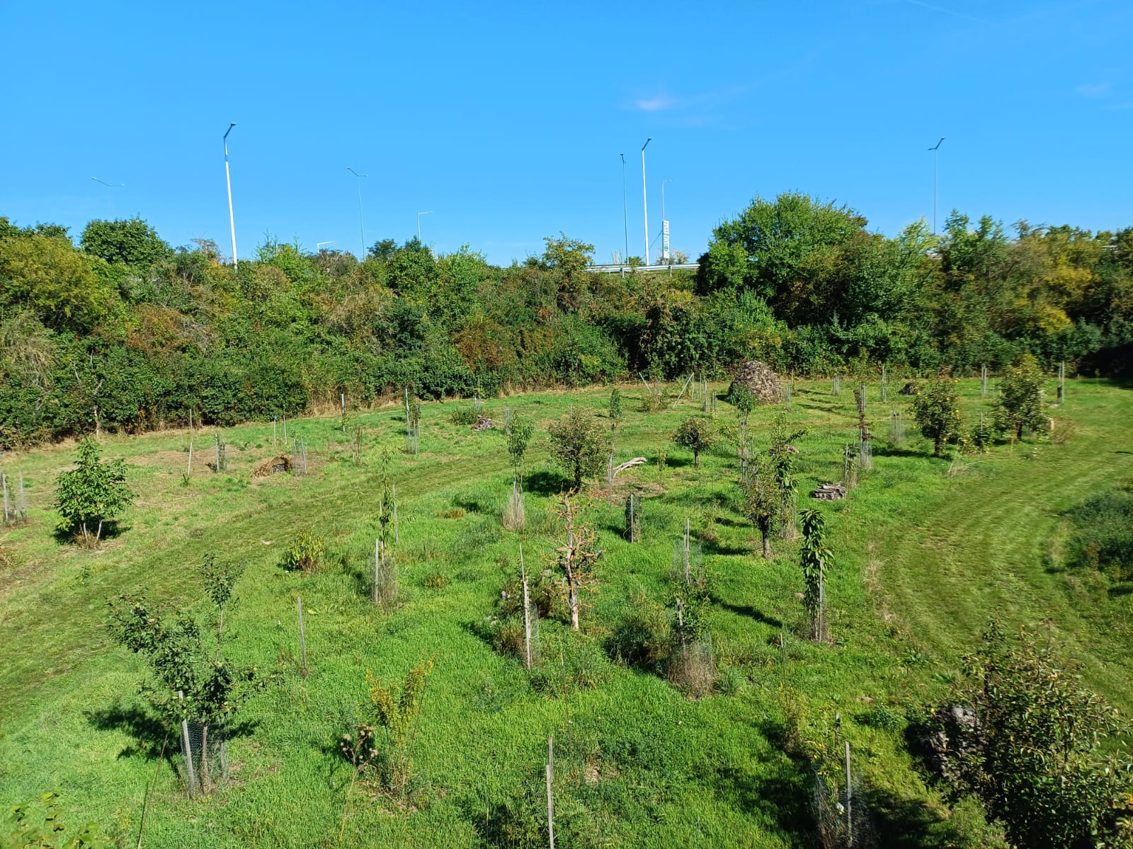 Ausblick vom Steinturm nach Osten Ausblick vom Steinturm nach Osten
