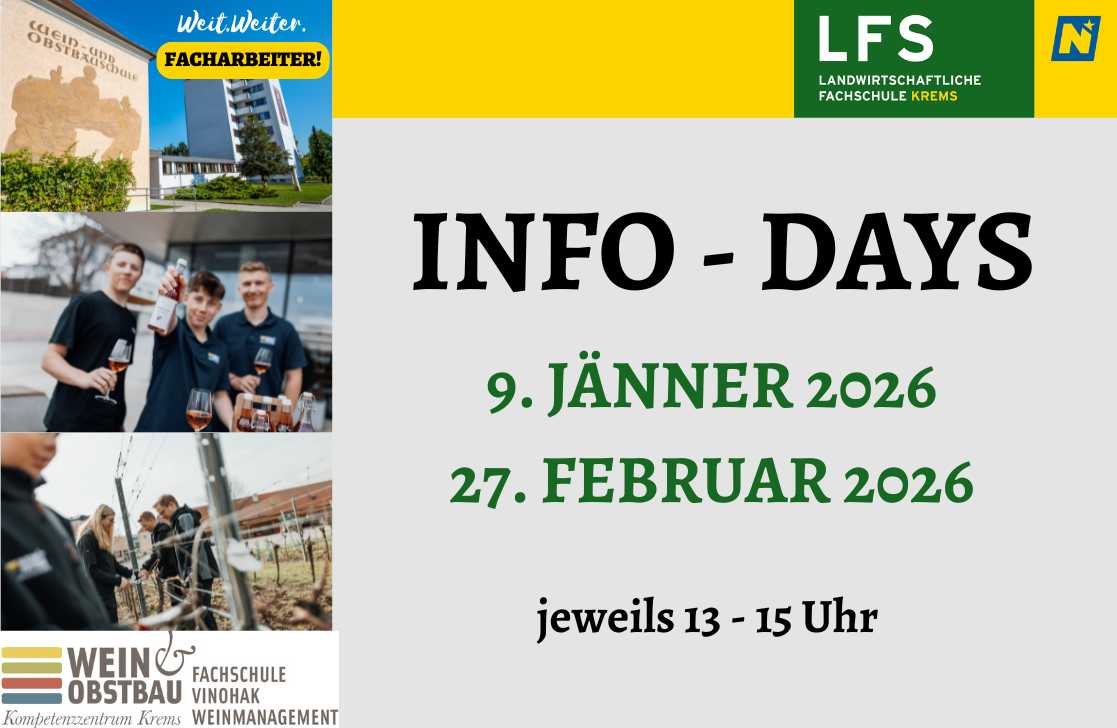 Info-Days Fachschule